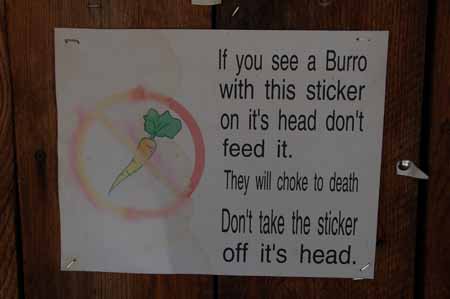 don't feed 'em carrots sign